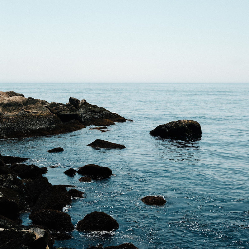 How to Use Celtic Sea Salt®: Applications and Product Guide