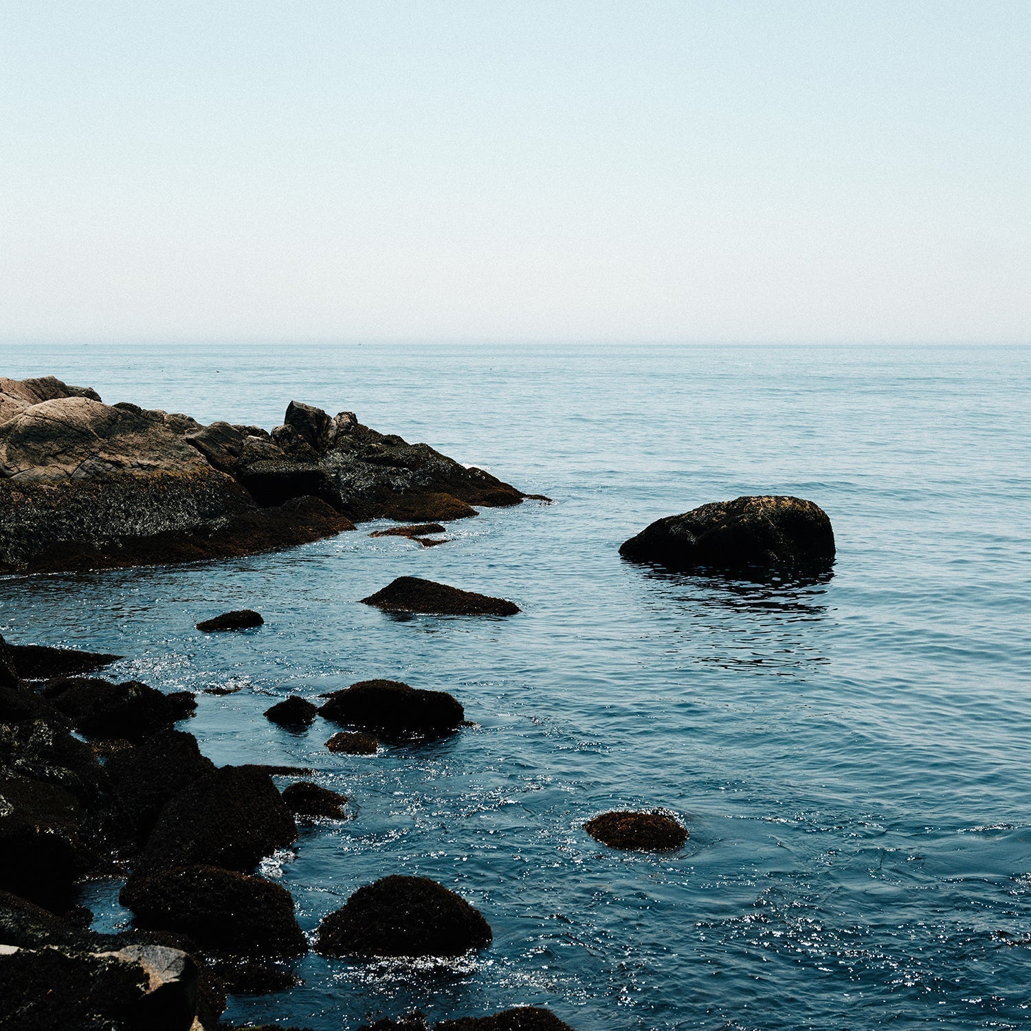 How to Use Celtic Sea Salt®: Applications and Product Guide