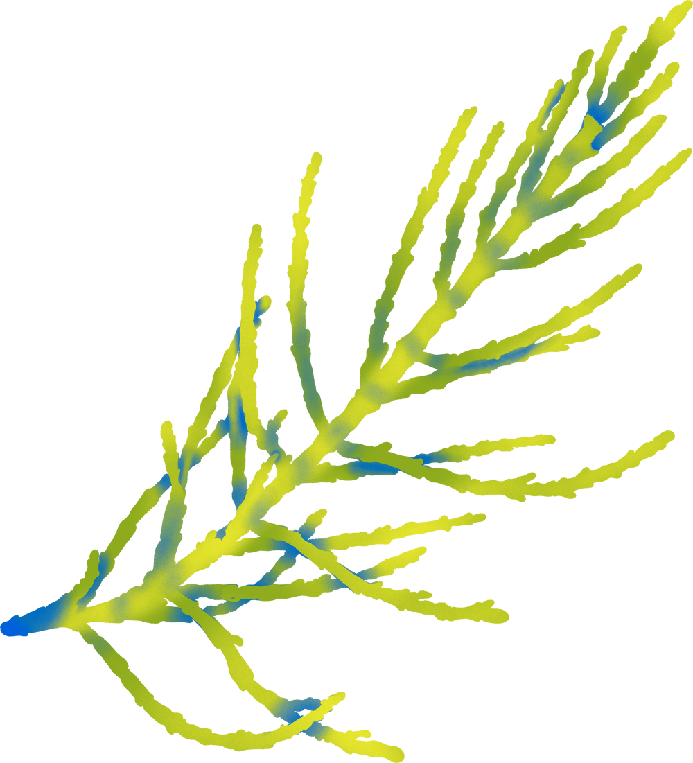 Glasswort decorative illustration